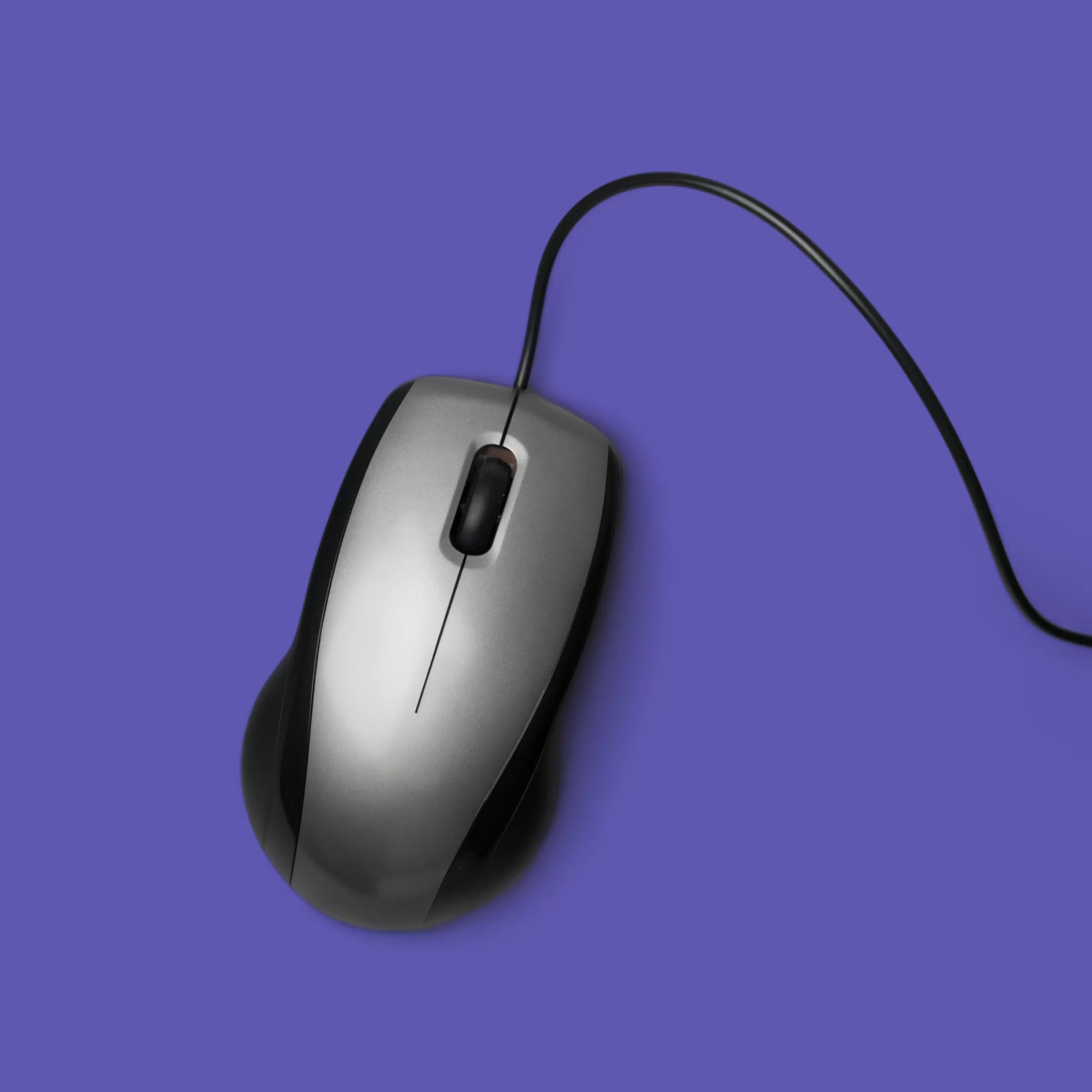 Mouse