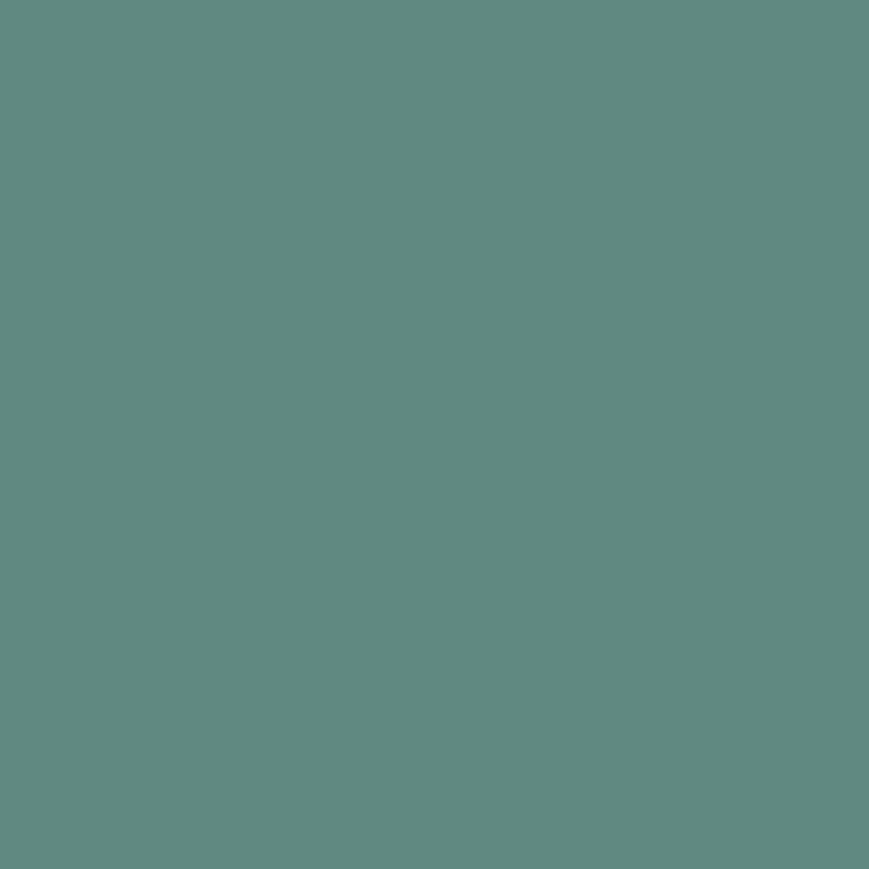 Superior Acrylic Paint 300ml