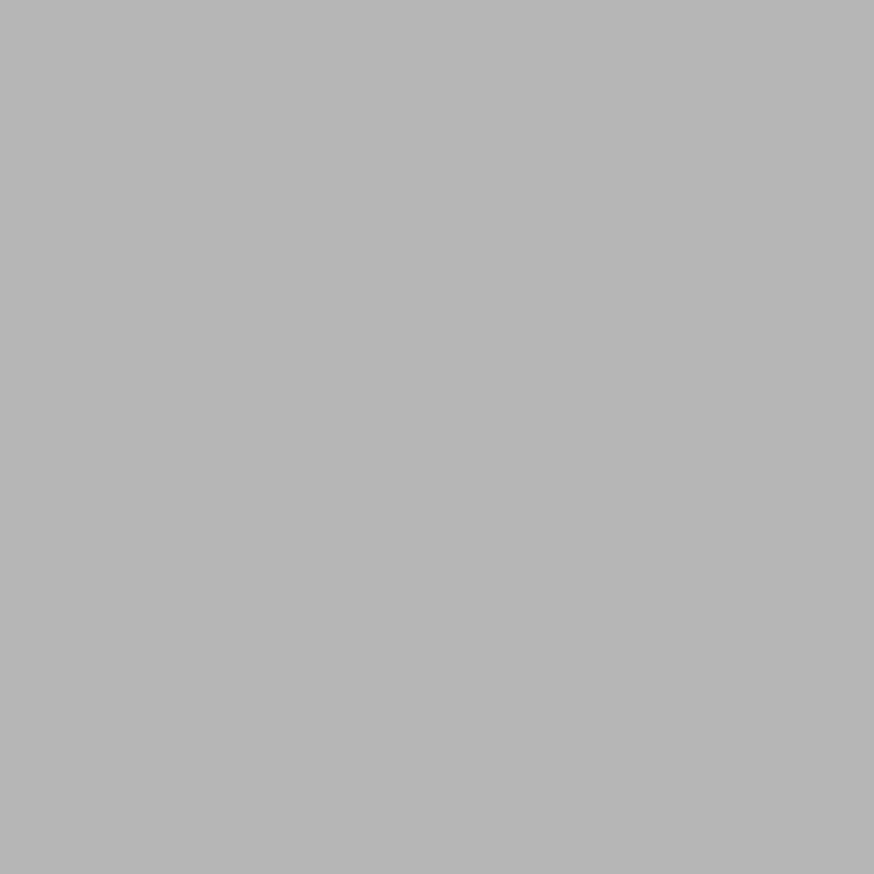 Superior Acrylic Paint 300ml