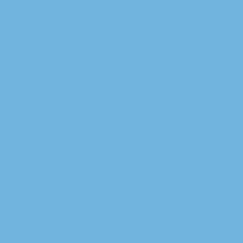 Superior Acrylic Paint 300ml