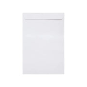 ENV WH1007PS50
