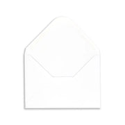 ENV WH135190GM50