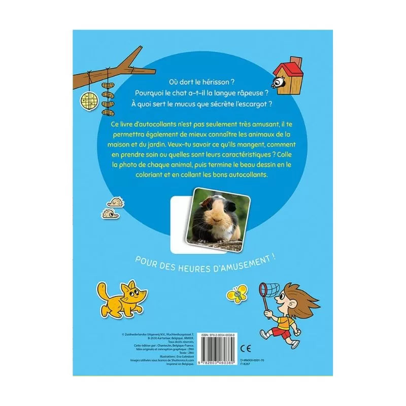 LES ANIMAUX DE LA MAISON (1)