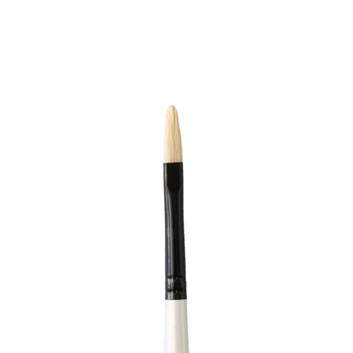 Daler Rowney Graduate Brush Bristle Filbert 1