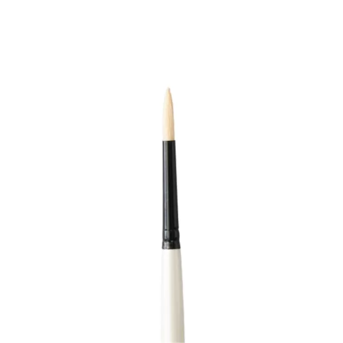 Daler Rowney Graduate Brush Bristle Round 2