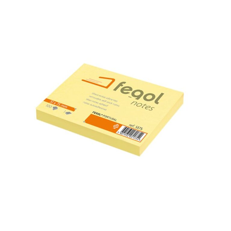 FEGOL REMOVABLE SELF STICKY NOTES 51*75