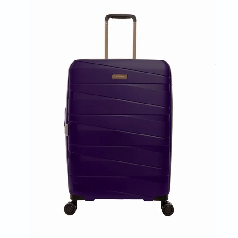 OnBoard Travel Bag Daring Regular Metallic Dark Purple